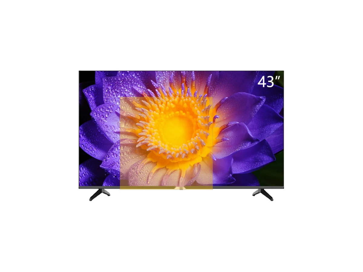 43 Inch Smart TV